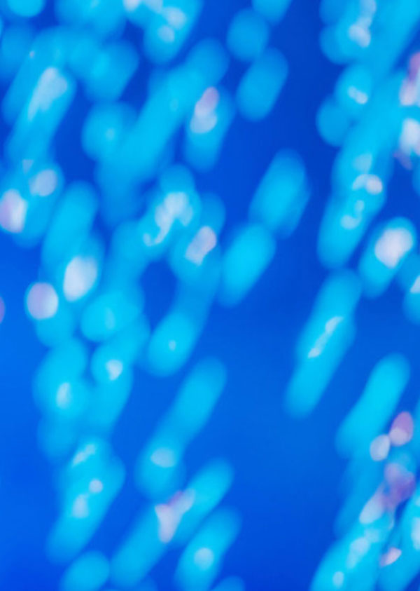 Facultad de Negocios