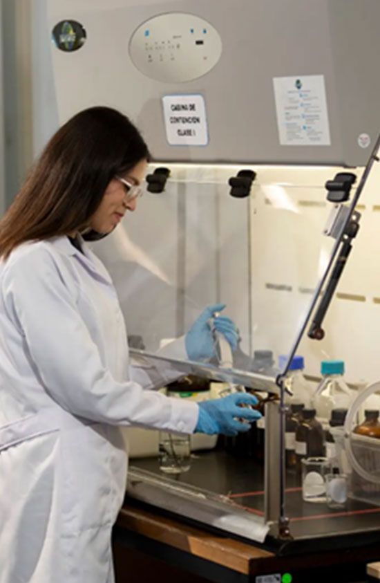 Laboratorio de Ecología, Biotecnología y Microbiología Ambiental