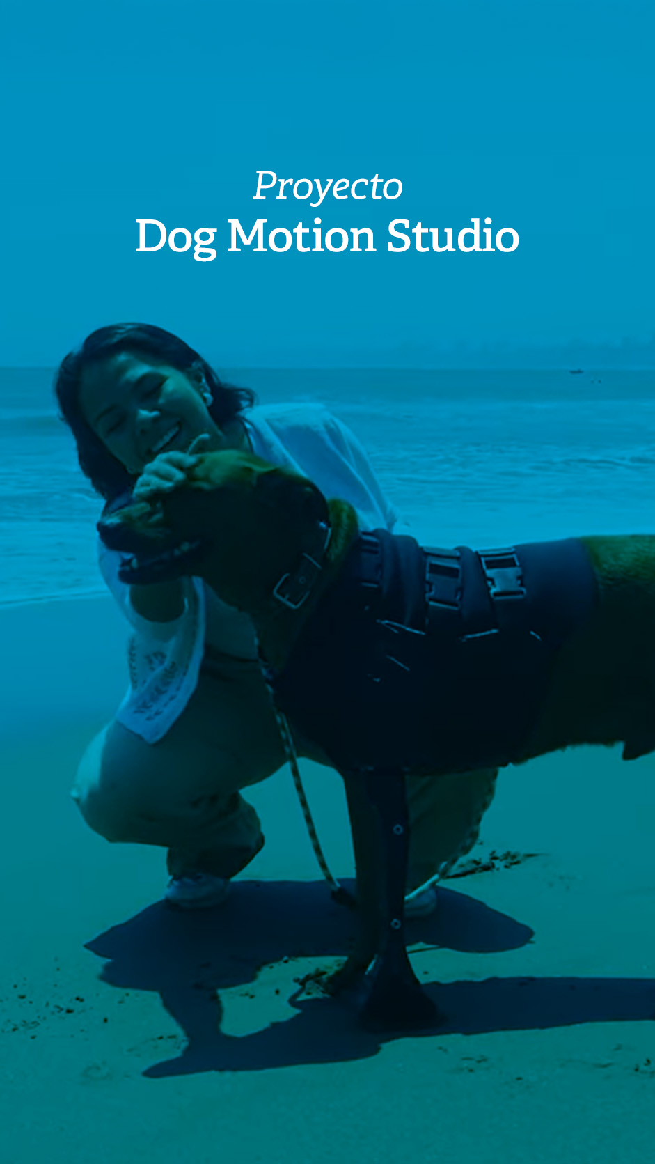 banner video dog motion utec